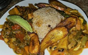 Hauptspeise: Reis mit zwei unterschiedlichen Soßen at BongoRoots in Tubingen