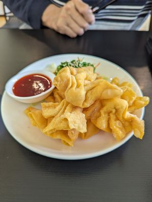 Crispy won ton at Veggie Chef in Oakleigh