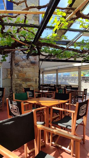 Terraza con parras at Hostel La Parra in Bakio