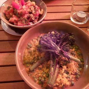 Risotto and panzanella at The Old Forge in Hayle