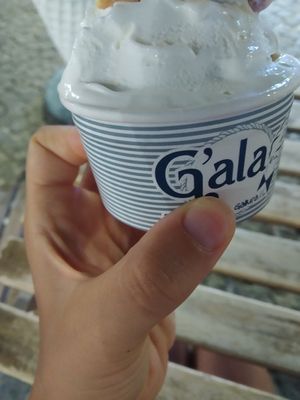 Coppetta con gelato allo yogurt vegano at Gala Santa Teresa Gallura in Santa Teresa Di Gallura