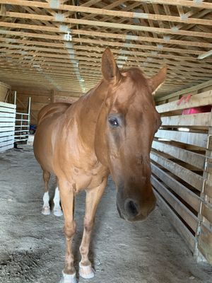 Preacher at Sunrise Sanctuary in Marysville