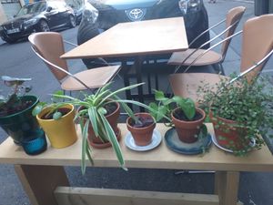 So cute!! at Soya Cantine Bio in Paris