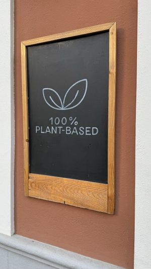 Plant based  at MESTIZA in Valencia