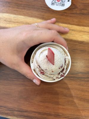   at Aldo's Gelato in Playa Del Carmen