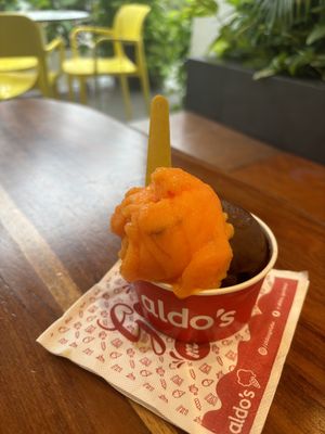 Vegan chocolate sorbet & tangerine sorbet   at Aldo's Gelato in Playa Del Carmen
