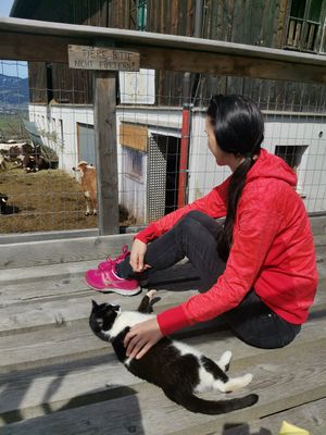 View with cat 🐈♥️ at Sauschneidhof in Radstadt