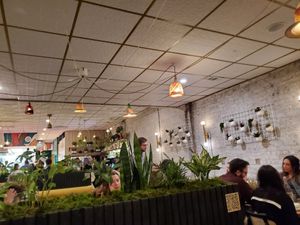 Plants blooming everywhere at Bloom in Chicago