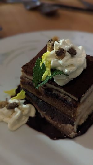 Tiramisu at Bloom in Chicago