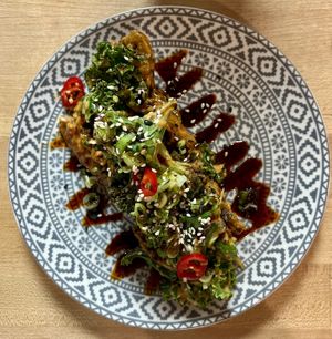 Oysters  at Bloom in Chicago