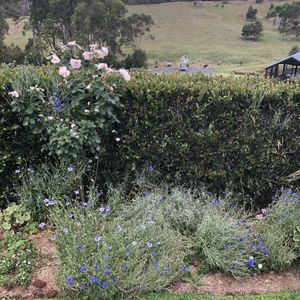 Beautiful location  at Ocean View Estates in Ocean View