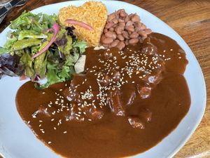 Mole dish vegan   at Mi Corazon Mexican Cuisine in Cannon Beach