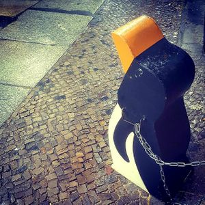 The litter box at SmooBar Café - Maybe closed in Berlin