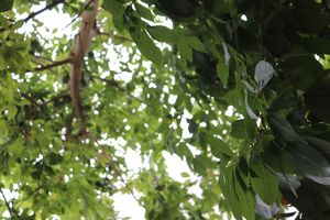 view from the outdoor seating area at Moe Coffee in San Diego