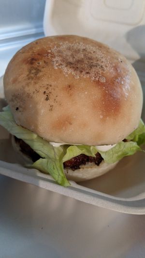 Teriyaki burger at Plantruck - Maybe closed in Osaka