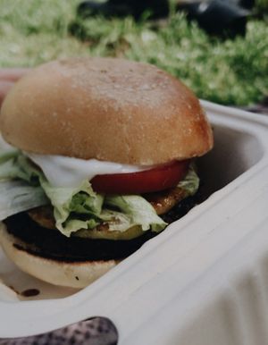 Vegan burger with added "cheese" at Plantruck - Maybe closed in Osaka