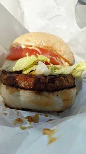 テリヤキ at Plantruck - Maybe closed in Osaka