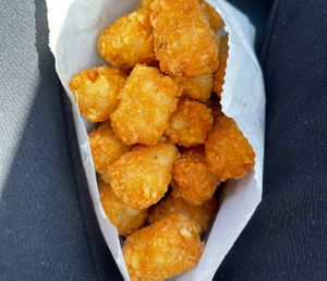 tater tots   at Nice Burger - Santa Ana in Santa Ana