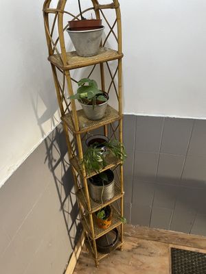 Inside  at Santa y Pura in Madrid