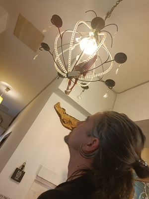 Elfos de las lámparas!!😻 at Santa y Pura in Madrid