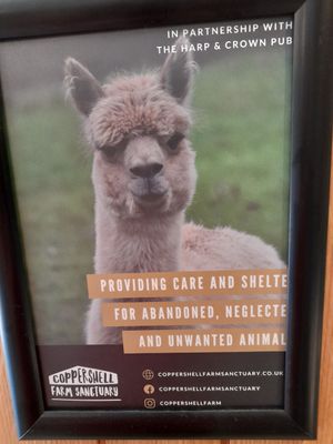 Partnership with the nearby sanctuary❤ at Harp & Crown in Corsham