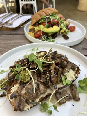   at Wildsprout in Western Cape