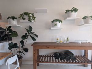  at Wildsprout in Western Cape