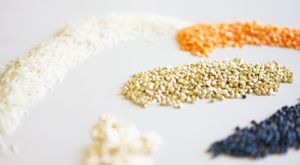 Wholefoods Pantry Shop Plastic Free at Vida Haus in Woodbridge