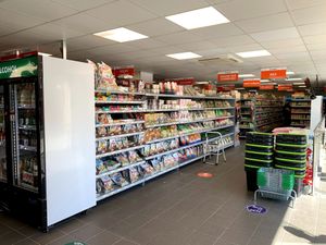 reasonable price at The Plantbase Store in South East London