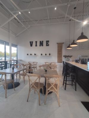  at Vine Cafe in New Bern