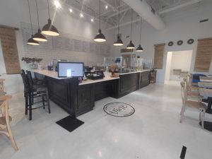  at Vine Cafe in New Bern