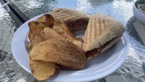 Jackfruit Sandwich & homemade chips  at Vine Cafe in New Bern