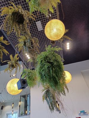  at Anne&Max - Domkwartier in Utrecht