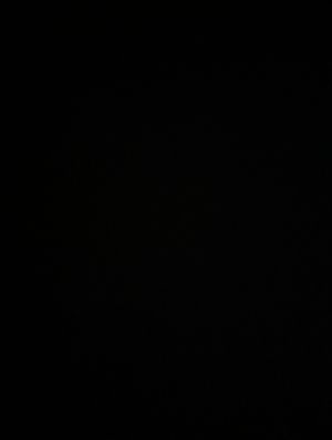 First course at NOIR Dining in the Dark in Ho Chi Minh City