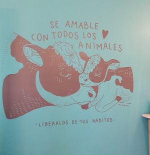  at Ainara Helados in Buenos Aires