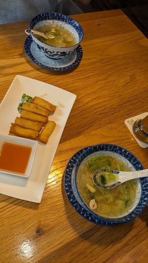 vegan spring rolls & wan ton soup at Zamui in Baden Baden