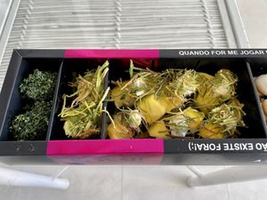 Delicious at Sôshi Vegan in Rio De Janeiro