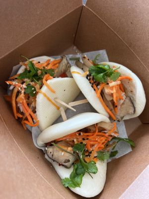 Mushroom boa   at V Revolution in Englewood