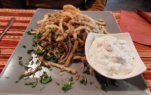  at Shahba Rose in Chemnitz