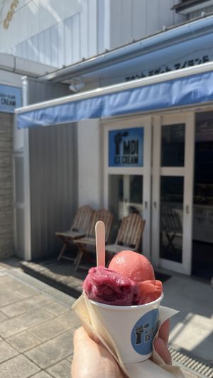 Blueberry basil sorbet and strawberry sorbet  at Mount Desert Island Ice Cream in Matsumoto