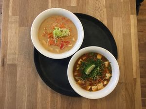 Anything on the menu can be customized vegan! at Núðluskálin in Reykjavik