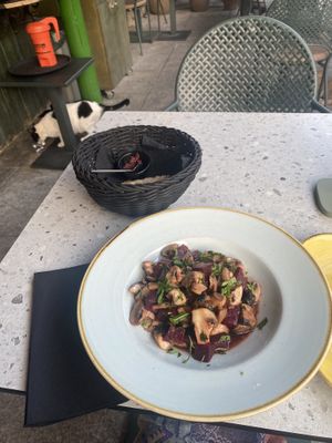 Warm mushroom and beets salad  at Ousia Soulful Kitchen in Limassol