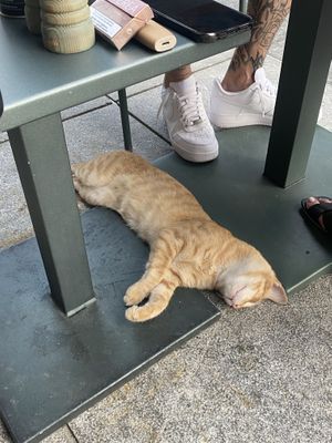   at Ousia Soulful Kitchen in Limassol