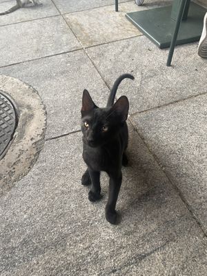   at Ousia Soulful Kitchen in Limassol