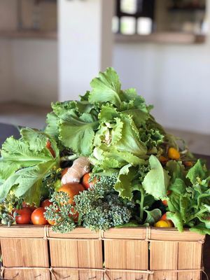 veggies form the next door garden at 0031 Boutique Hotel and Restsurant in Cumbuco