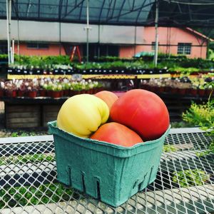 Heirloom Tomatoes! at The Nurserie Farm and Garden Market in Little Rock