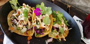 Tacos! at Cactú in Arecibo