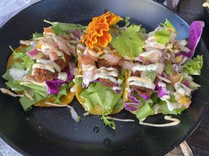   at Cactú in Arecibo