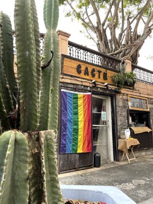outside   at Cactú in Arecibo