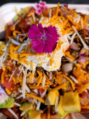 "" at Cactú in Arecibo